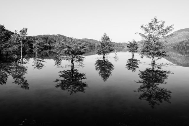 Trees reflected in the waters of Lake Ocoee in Tennessee.