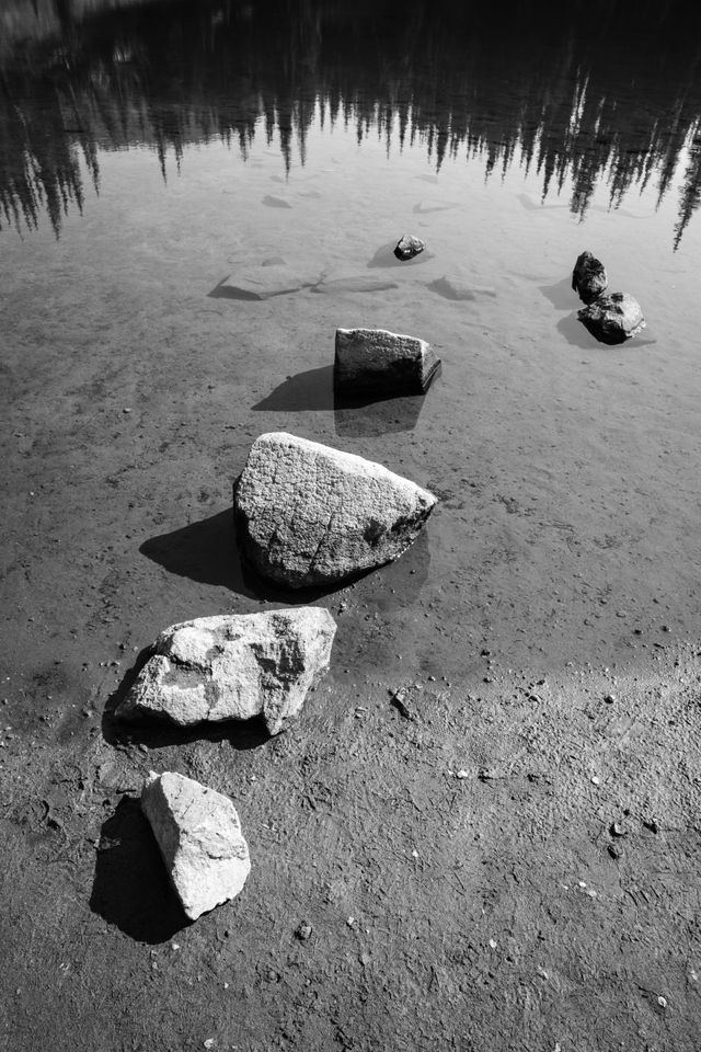 A row of four rocks in the waters of Shadow Lake in Mount Rainier National Park.