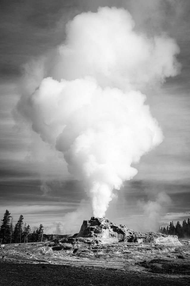 A steam column rising off of Castle Geyser during an eruption.