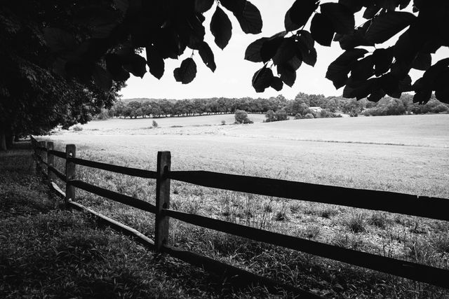 A field at the Thomas Farm in Monocacy National Battlefield.