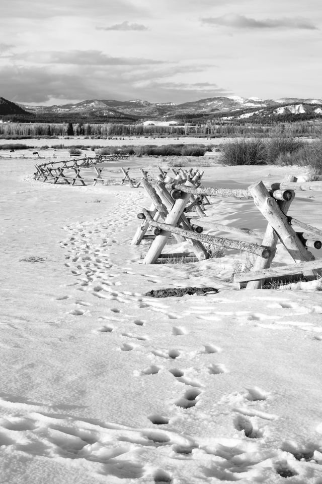 A winding wooden fence in the snow at Grand Teton National Park.