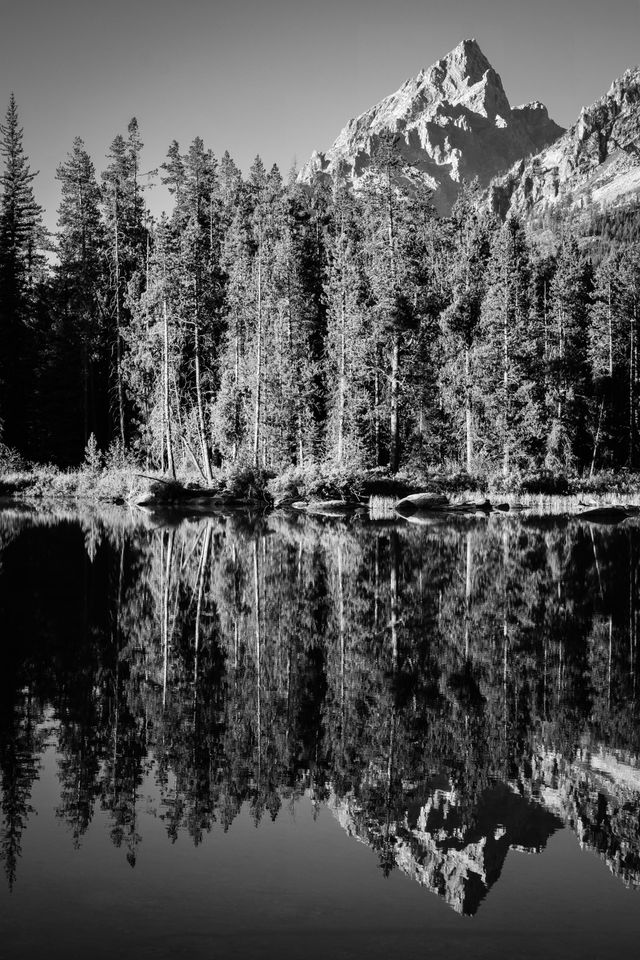 Teewinot Mountain, seen behind a line of trees, reflected on the surface of String Lake.