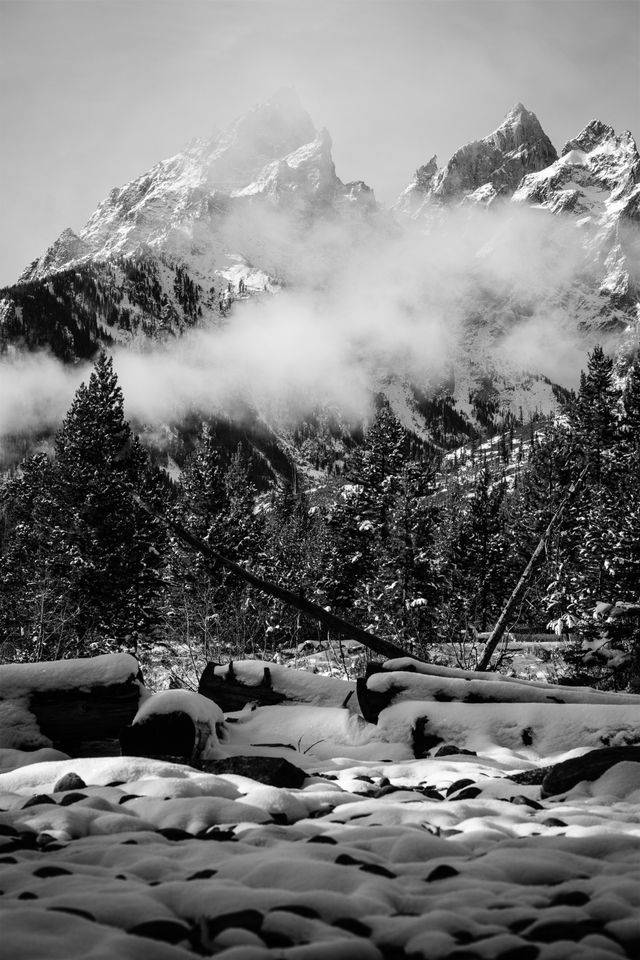 Grand Teton, Teewinot Mountain, and Mount Owen, seen shrouded in fog behind a line of pine trees. In the foreground, snow covered rocks.