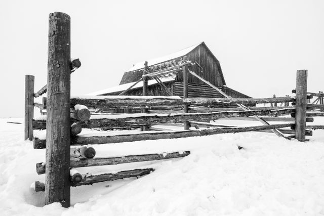 The back of the John Moulton barn at Mormon Row during a snowstorm, with its fence partially covered in snow.