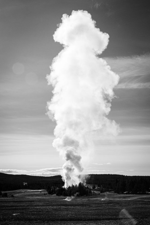 A huge steam column rising off of an eruption of Old Faithful in the distance.