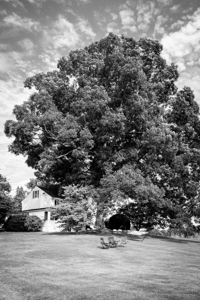 A farm house near Orange, Virginia.