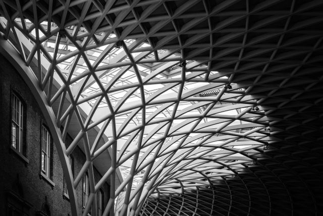 The roof of the departures concourse of King's Cross.