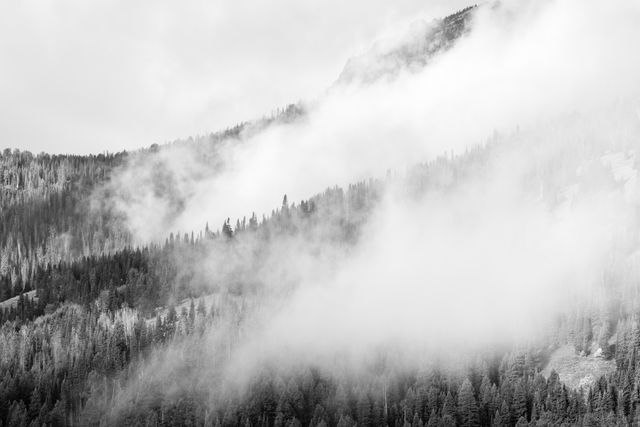 Morning fog rolling over hills in the Tetons.