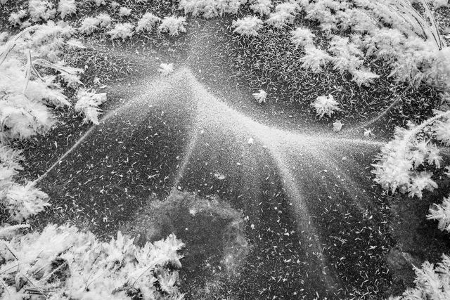 The frozen surface of a pond, covered in ice crystals.