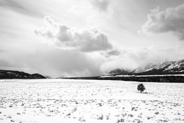 A snowstorm in the distance, dumping snow near Moose, Wyoming.