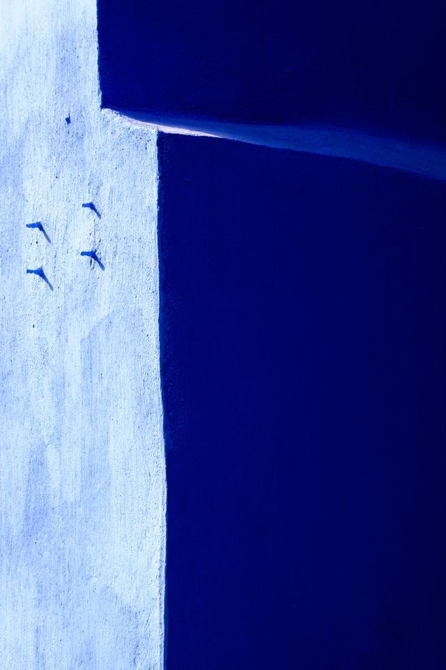 A very deep blue wall at the Frida Kahlo Museum in Coyoacán.