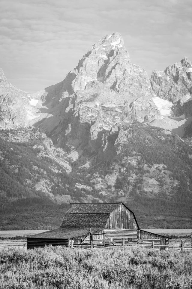 The John Moulton barn, in front of Grand Teton.